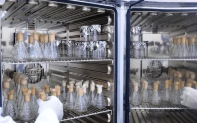 Jasa Kalibrasi Alat Ukur Suhu & Kelembaban​